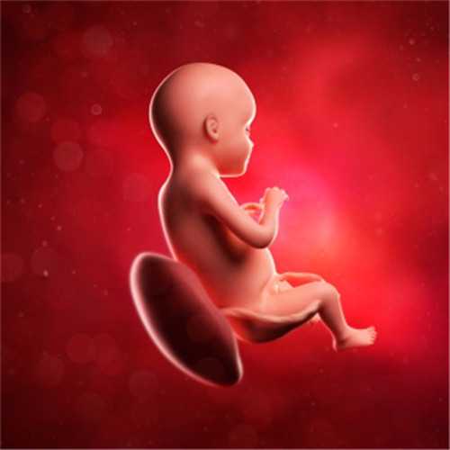 2024年广州哪里的公立医院才可以做供卵试管婴儿?