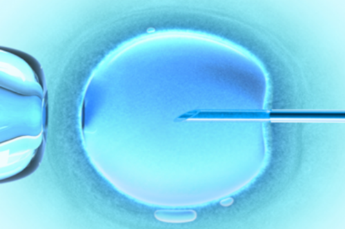 广东省哪里可以做三代试管,广东三代试管婴儿价格