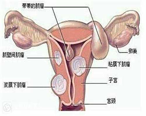 试管胚胎放入子宫多长时间着床