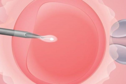 广州代生及费用,广州三代试管婴儿成功率高？价格大致如何！