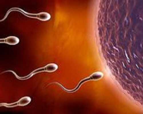 广州供卵女孩怎么选_供卵代孕地址,广州试管婴儿医院排行榜,要警惕医院骗局