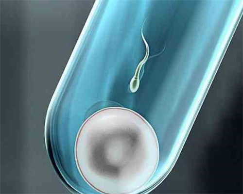 可以代生的吗冻胚移植4步流程解读
						