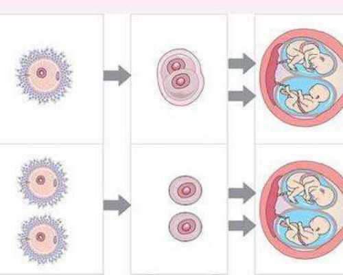 广州恩赐助孕_代生男宝,广州做试管对身体会有哪些伤害，成功率是多少呢？