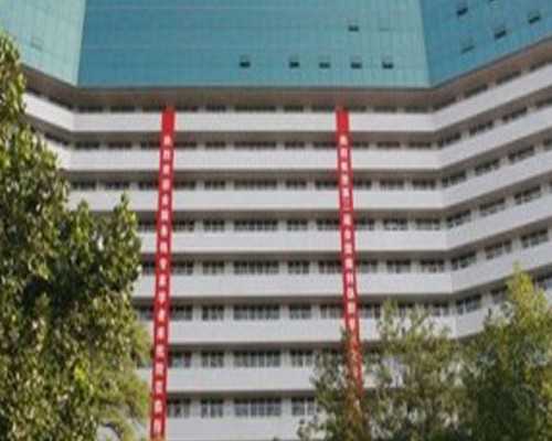 补充男性精子饮食疗方法