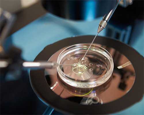 代孕费用行情,卵泡又大又圆，备孕妈妈必备秘籍！