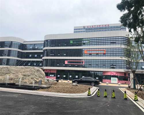 广州高龄供卵试管_特色服务项目,广州试管婴儿第3代费用指南,广州试管婴儿第