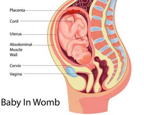 广州买卵子联系方式_国内未婚试管机构,为什么「广州三代试管包男孩」广告如