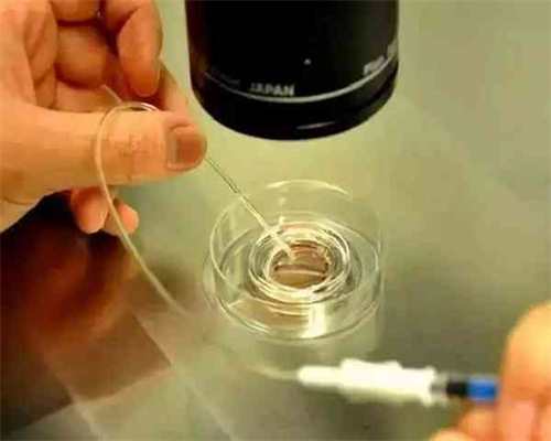 代孕取卵怎么取?,试管移植前孕酮最佳值是多少？试管移植后要补孕酮