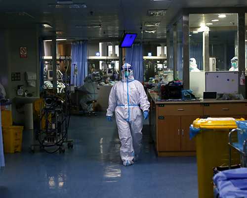 瑞白的作用，瑞白对胚胎着床的功效