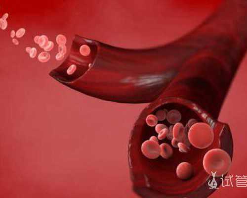 胚胎冷冻移植和新鲜胚胎移植哪个好 如何收费