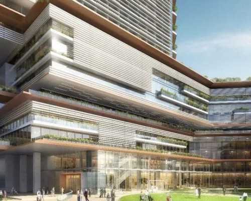 重庆做供卵试管需要多少钱费用呢女医生