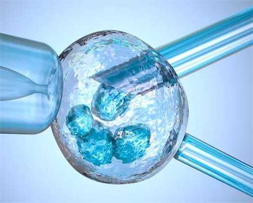 
              提高卵泡圆度的方法是养成良好的睡眠和饮食习惯吗？
            