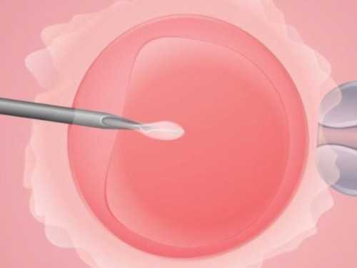 试管代孕生宝宝婴儿需要多少钱看这里(9月新篇)