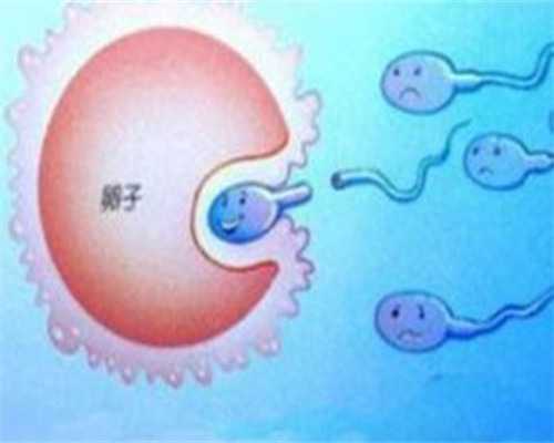 广州代生公司价格,广州借卵试管婴儿助孕机构一览，附借卵医院名单？