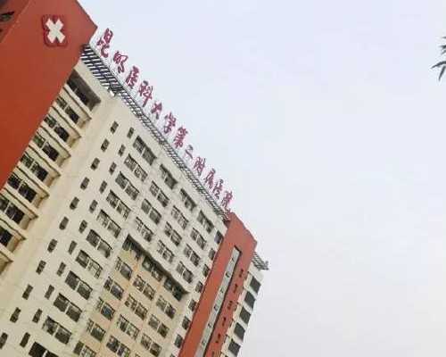 广州做试管多少钱费用_广州做试管大概要多少钱