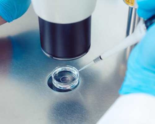 南京代孕公司在哪,美国试管婴儿医院大全(HRC/FSAC，还有这些...)