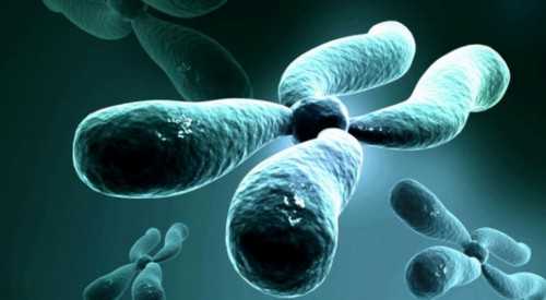 焦作助孕中心在哪(湖北天门免费贡献公细胞私立供卵可靠吗医院)