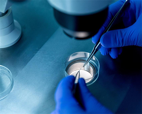 重庆助孕公司排名_三代试管助孕机构