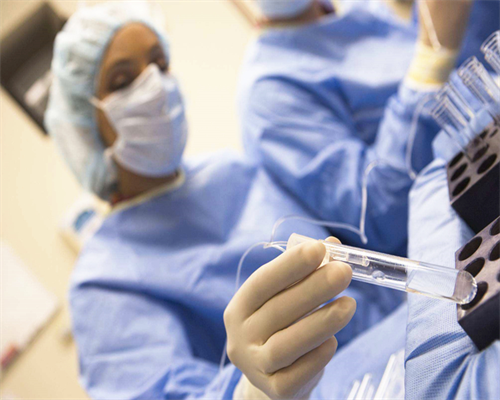 54岁供卵自怀三代试管成功率多少正常呢