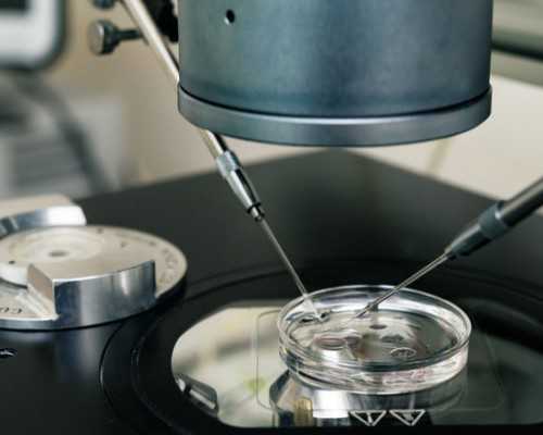 胚胎移植后能不能吃苹果,吃苹果会不会影响内膜生长胚胎移植后吃苹果影不影响内膜