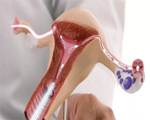 试管的五个重要流程你知道吗？