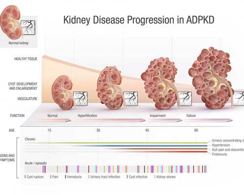 广州哪个医院可供卵_专业代孕包男孩,广州哪所私立试管医院好点-广州私立试管