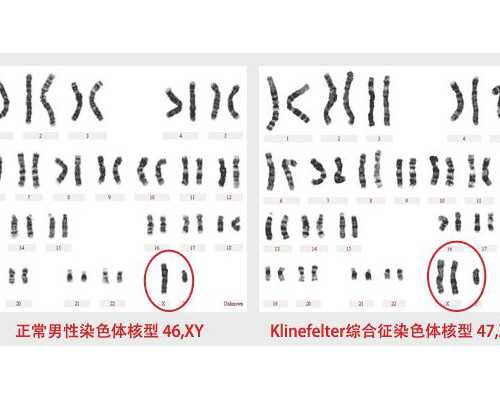 做供卵试管代孕费用多少_代孕费用一览表,合肥供卵试管助孕机构胚胎移植的最